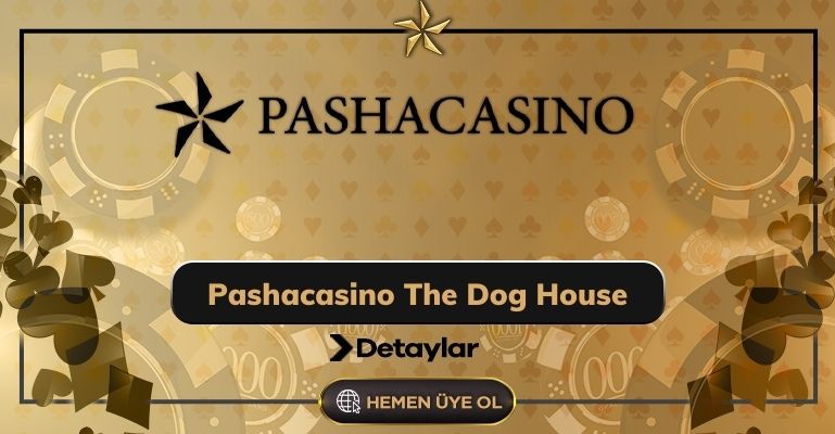 Pashacasino The Dog House