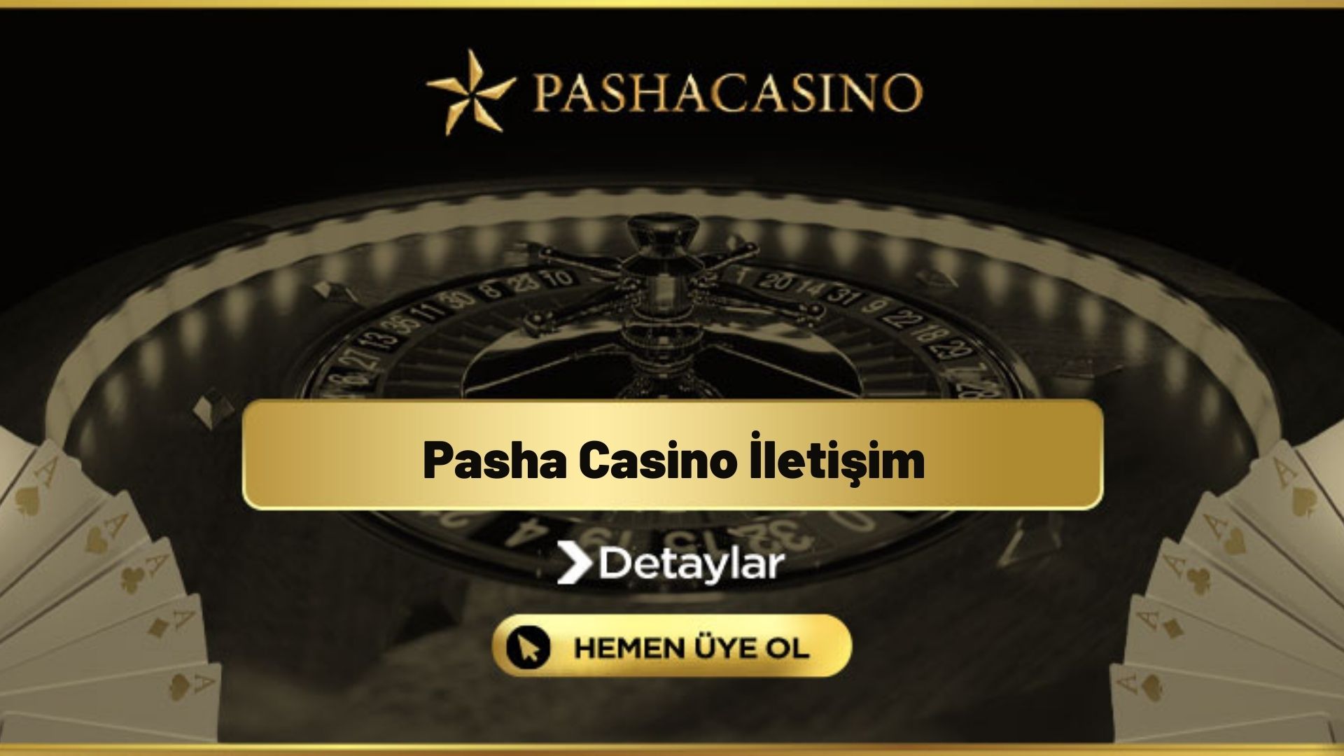 Pasha Casino İletişim