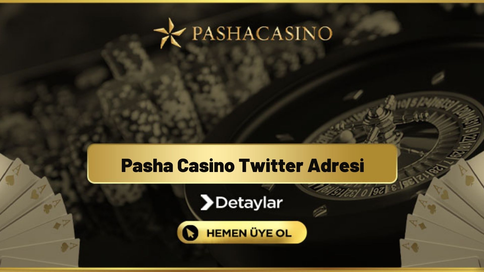 Pasha Casino Twitter Adresi
