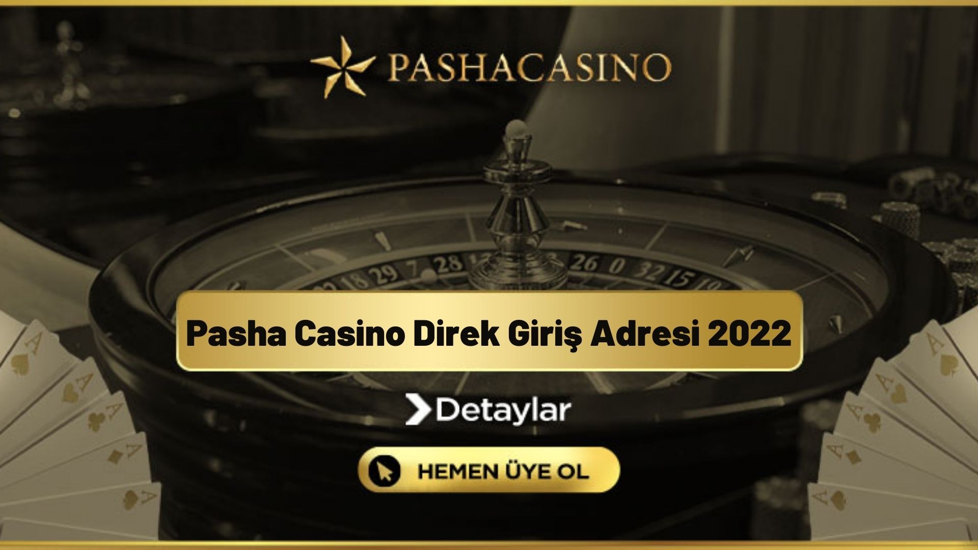 Pasha Casino Direk Giriş Adresi 2024